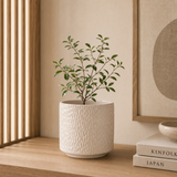 Vaso Cachepot com Base Cerâmica Bege 23cm na bancada com planta