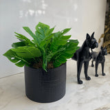 Buquê de Folhas Costela de Adão Verde 32cm - Ela Decora