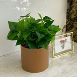 Buquê de Folhas Verde 38cm - Ela Decora