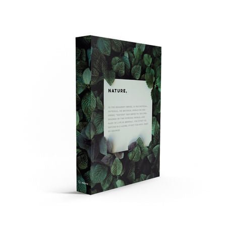 Caixa Livro Nature Preto e Verde 36cm - Ela Decora