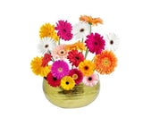 Centro de Mesa Circular Dourado 25cm - Ela Decora