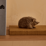 Escultura Ouriço em Poliresina Bege 6cm x 6cm - Ela Decora