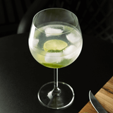 Jogo 6 Taças de Cristal Ecológica para Gin Transparente 570ml - Ela Decora