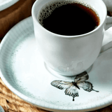 Jogo 6 Xícaras de Chá com Pires Bio Refúgio 170ml - Ela Decora