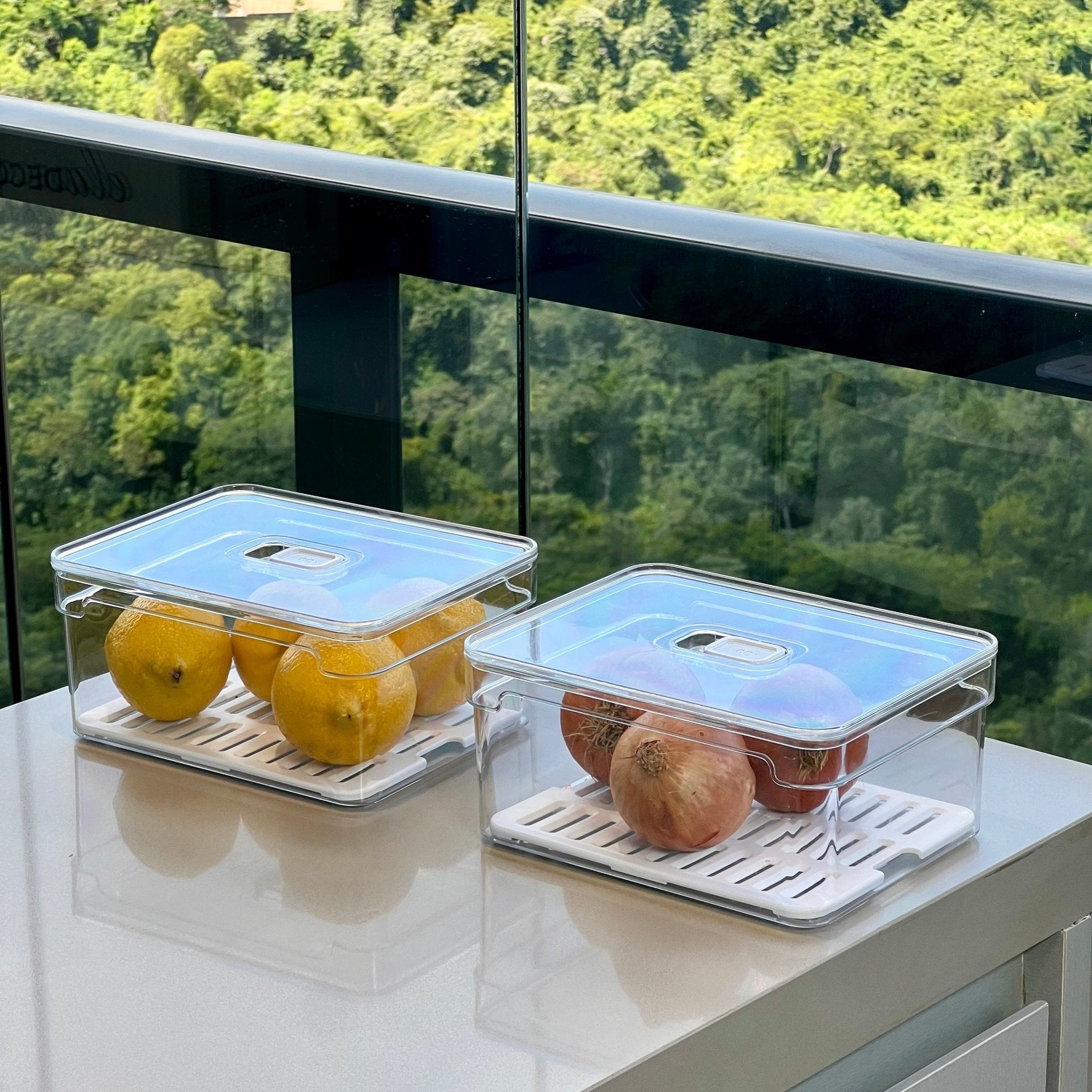 Kit 2 Organizadores Clear Fresh 2,2 Litros - Ela Decora