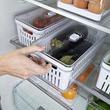 Organizador Clear Fresh com Cesto 5 Litros - Ela Decora