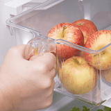 Organizador de Geladeira Retangular com Pegador 31,4cm - Ela Decora