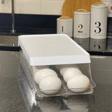 Organizador Porta Ovos 14 Unidades Branco 33cm - Ela Decora