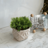 Pick Folhas Artificiais Verde 25cm - Ela Decora