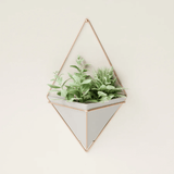 Vaso Decorativo Cachepot de Parede Triangular de Concreto 18 cm x 11,5 cm - Ela Decora