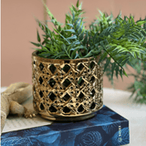 Vaso Decorativo Vazado Dourado 12,5cm - Ela Decora