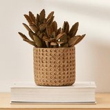 Vaso Cachepot Decorativo em Cimento M 16cm