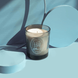 Vela Aromática Perfumada Musgo de Carvalho Elementos 210G L'envie - Ela Decora