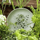 Prato de Sobremesa Orgânico Ammi 19,5cm