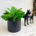 Decoração