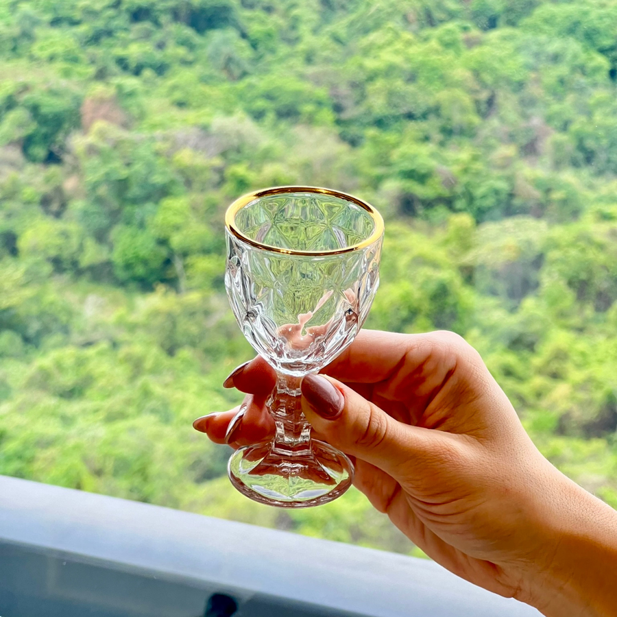 Taça de licor diamond com borda dourada sendo segura na mão