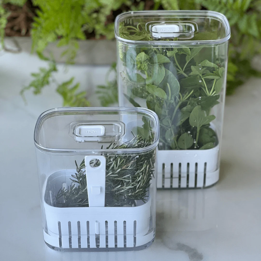 Kit porta temperos clear fresh com alecrim e folhas verdes sobre bancada