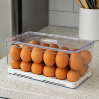 Organizador Porta Ovos com Tampa 5 Litros