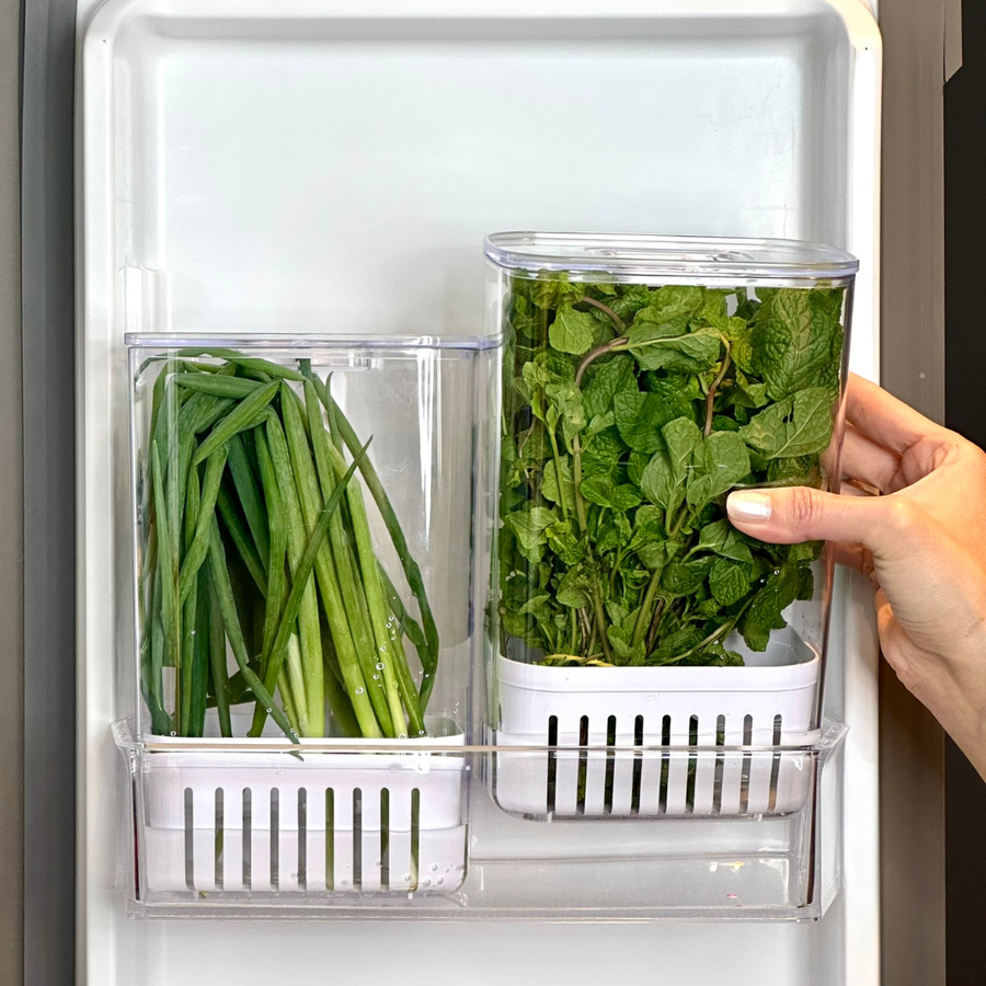 Dois recipientes transparentes com plantas aromáticas e vegetais verdes