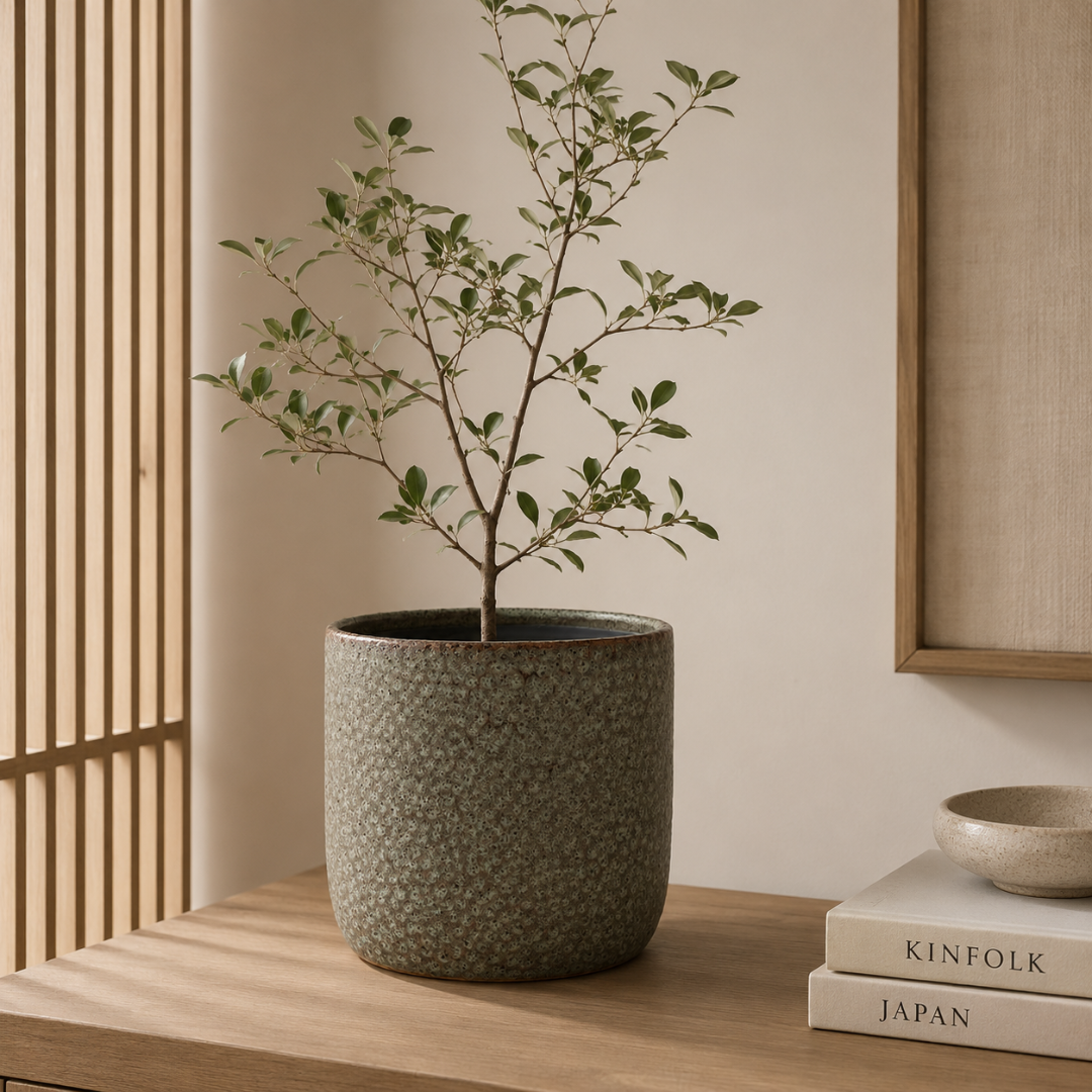 Vaso Cachepot Rústico em Cerâmica Verde Musgo 22cm  com planta na bancada