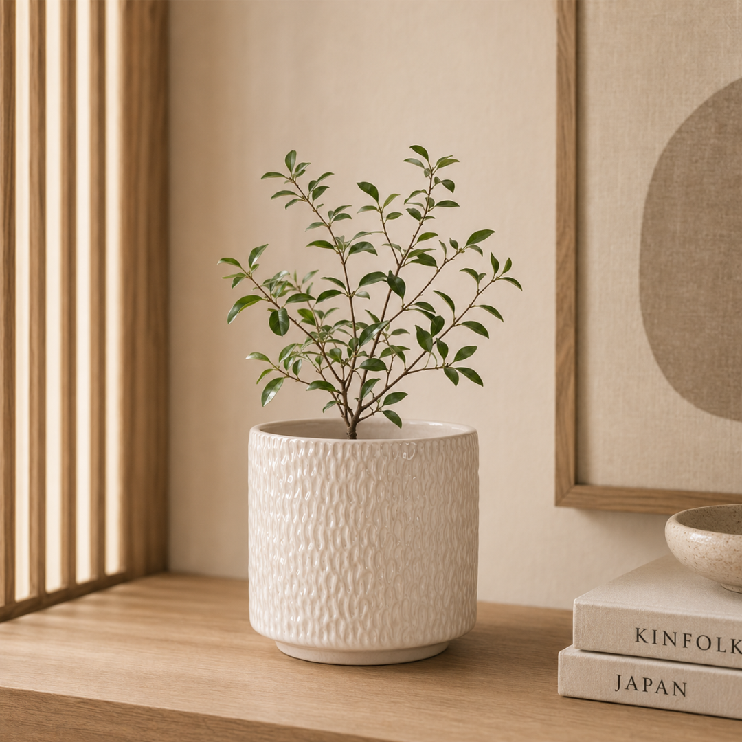 Vaso Cachepot com Base Cerâmica Bege 23cm na bancada com planta