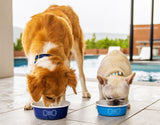 Bowl para Pet Redondo Carmin 16 cm Le Creuset - Ela Decora