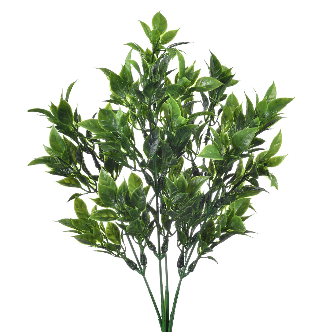 Buque 5 Folhas Verde para Decoração