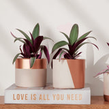 Cachepot Nude e Rose Gold Em Cimento 10,5 x 12 cm Faixa Superior - Ela Decora