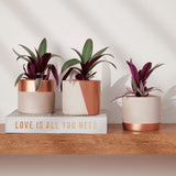 Cachepot Nude e Rose Gold Em Cimento 12,5 x 14 cm Faixa Superior - Ela Decora