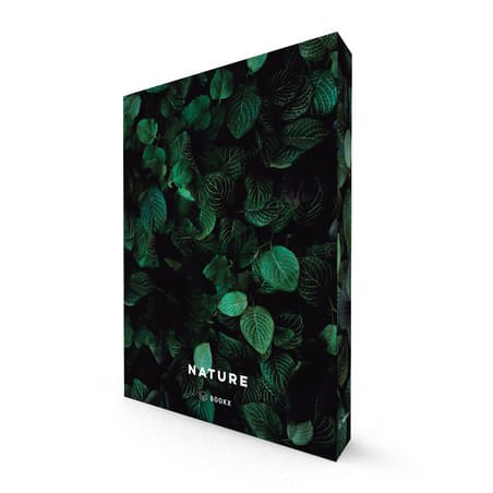 Caixa Livro Nature Preto e Verde 36cm - Ela Decora
