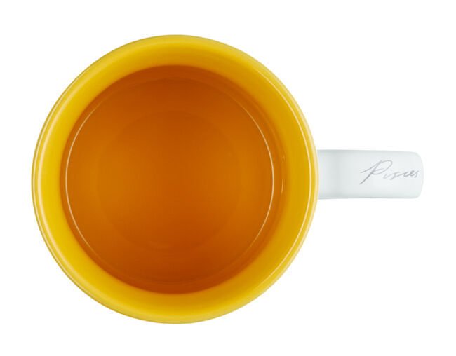 Caneca Seattle Zodíaco Peixes Branca 400ml Le Creuset - Ela Decora