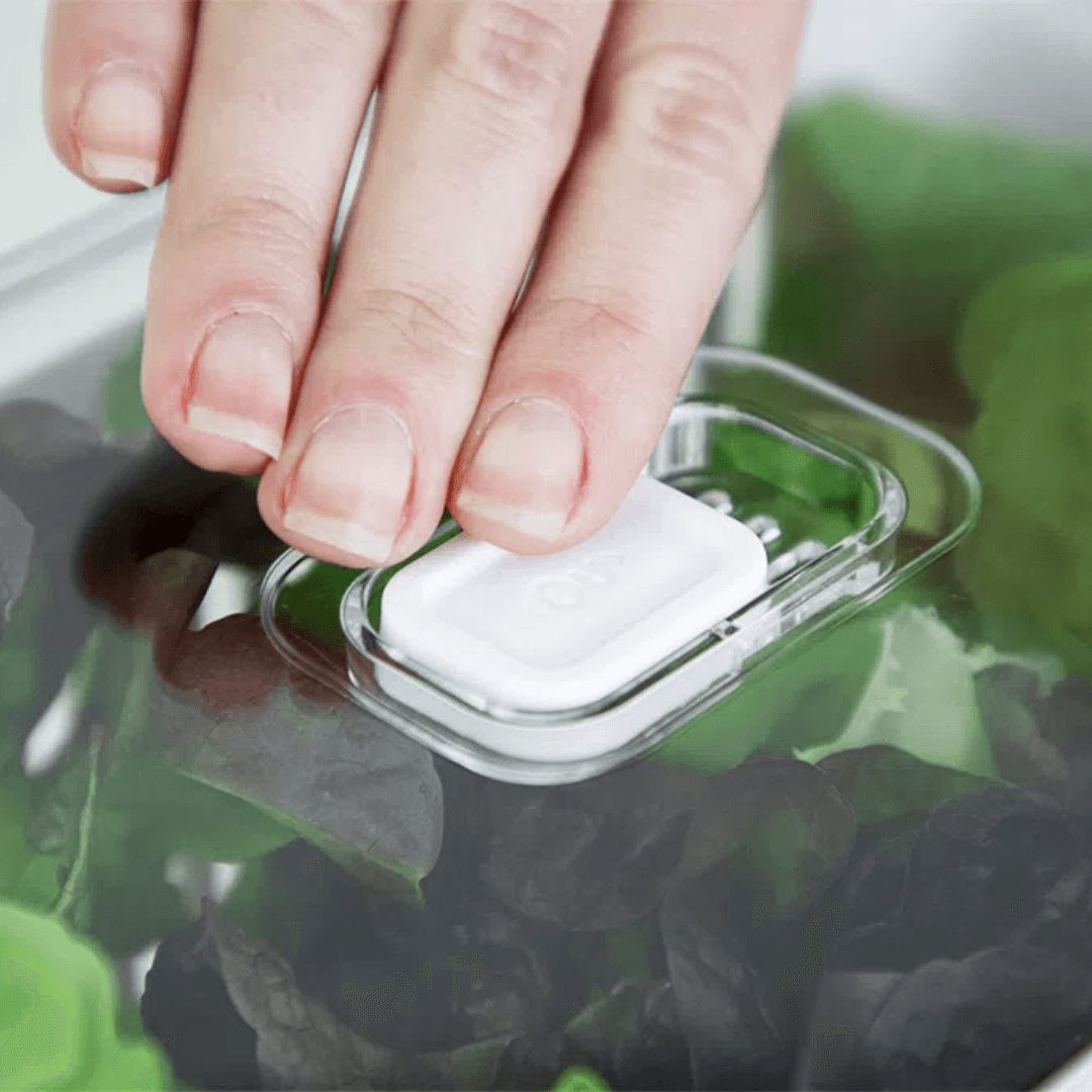 Organizador de Geladeira Clear Fresh com Cesto 2,2 Litros - Ela Decora