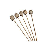 Conjunto de Palitos de Madeira Petiscos Frutas com 10 peças 10cm - Ela Decora