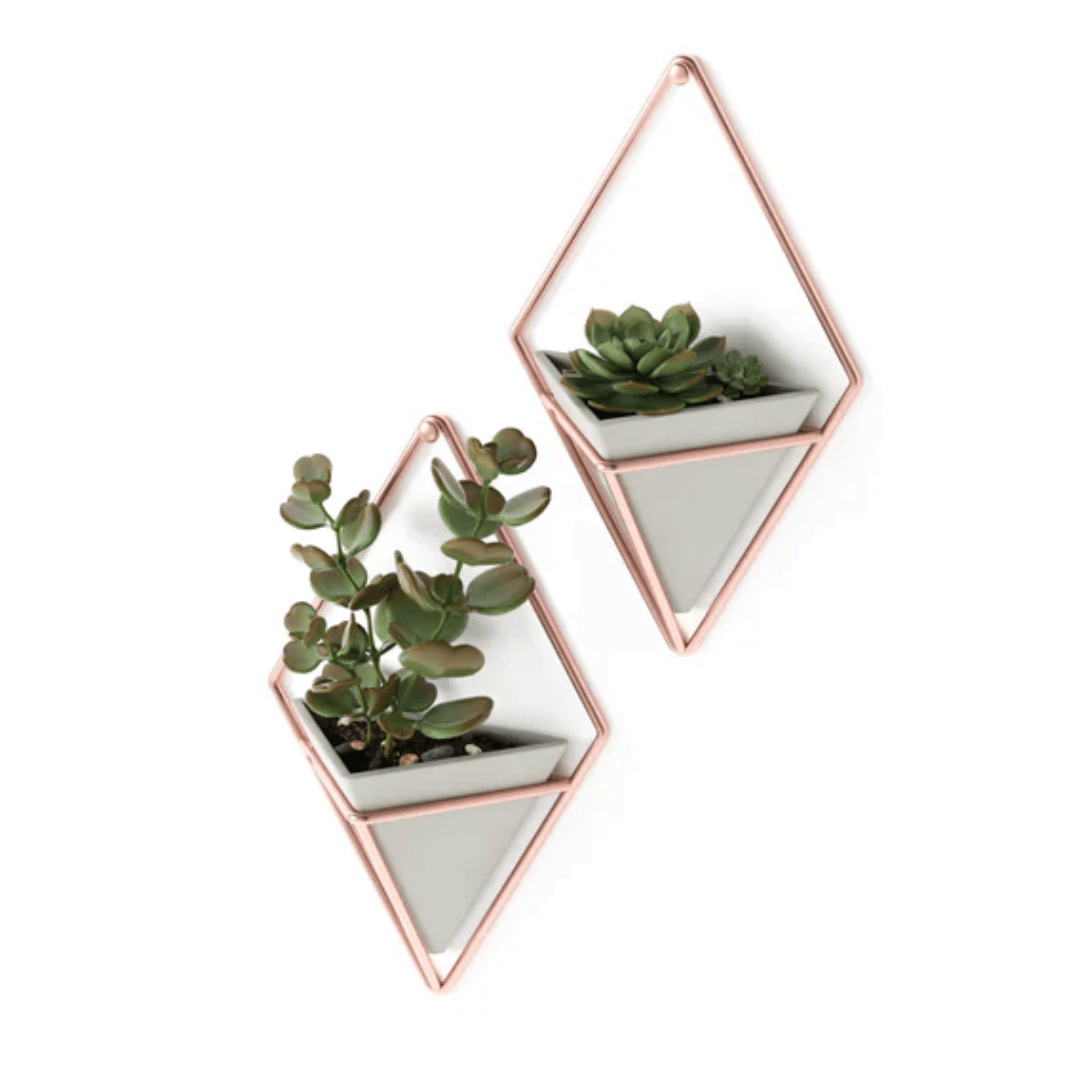 Conjunto Vaso Decorativo Cachepot de Parede Triangular de Concreto 18 cm x 11,5 cm 2 Peças - Ela Decora