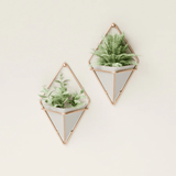 Conjunto Vaso Decorativo Cachepot de Parede Triangular de Concreto 18 cm x 11,5 cm 2 Peças - Ela Decora