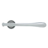 Espremedor de Alho em Liga de Zinco com Cabo Antiderrapante 22,5cm - Ela Decora