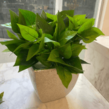 Buquê de Folhas Verde 38cm