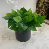 Buquê de Folhas Verde 38cm