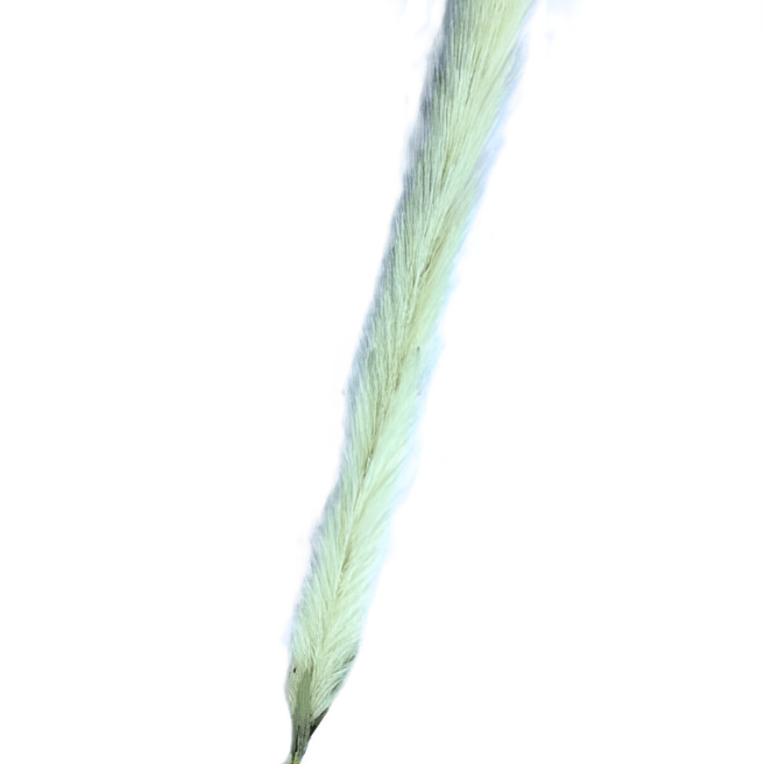 Haste de Trigo Creme 104cm - Ela Decora