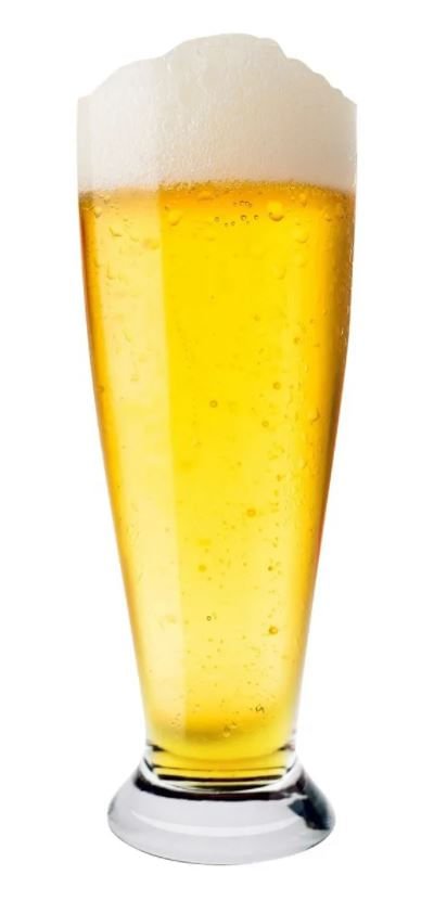 Jogo de 6 Copos Pilsner em Cristal 300ml - Ela Decora