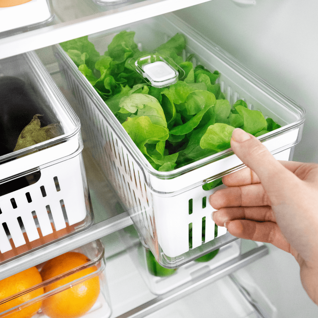 Kit 2 Organizadores Clear Fresh com Cesto 5 Litros - Ela Decora