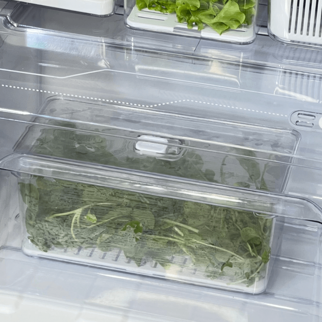 Organizador Clear Fresh 5 Litros - Ela Decora