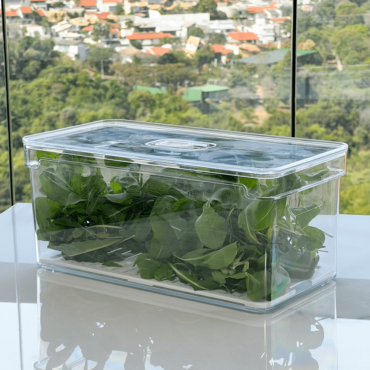 Organizador Clear Fresh 5 Litros - Ela Decora