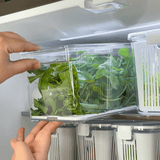 Organizador Clear Fresh 5 Litros - Ela Decora