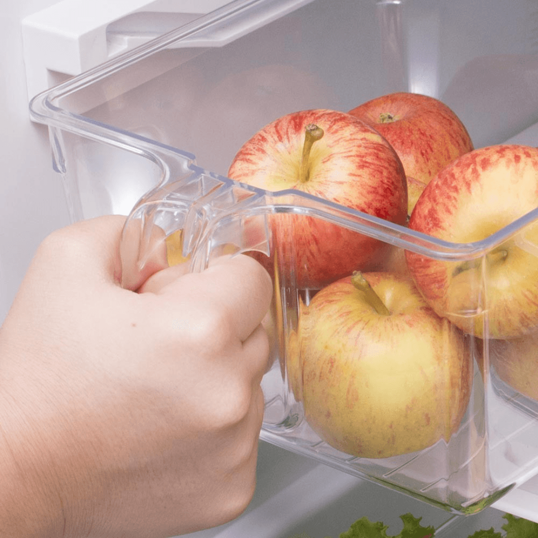 Organizador de Geladeira Retangular com Pegador 31,4cm - Ela Decora