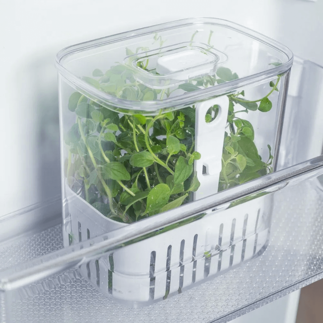 Organizador Pote para Temperos Frescos Clear Fresh 1,5 Litros - Ela Decora