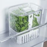 Organizador Pote para Temperos Frescos Clear Fresh 1,5 Litros - Ela Decora