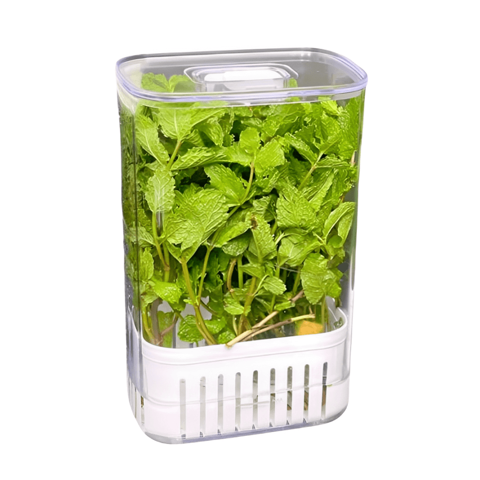 Organizador Pote para Temperos Frescos Clear Fresh 2,3 Litros - Ela Decora