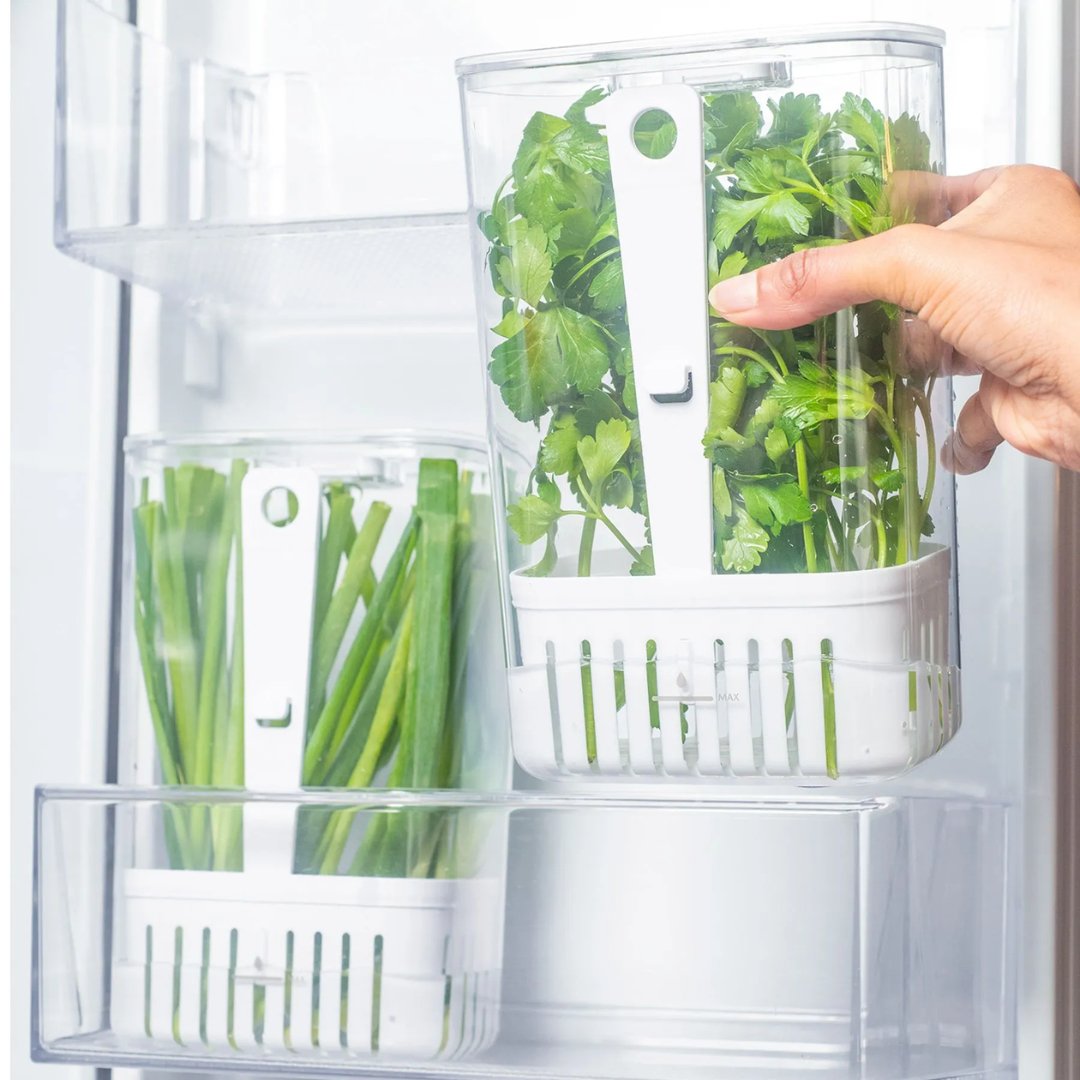 Organizador Pote para Temperos Frescos Clear Fresh 2,3 Litros - Ela Decora