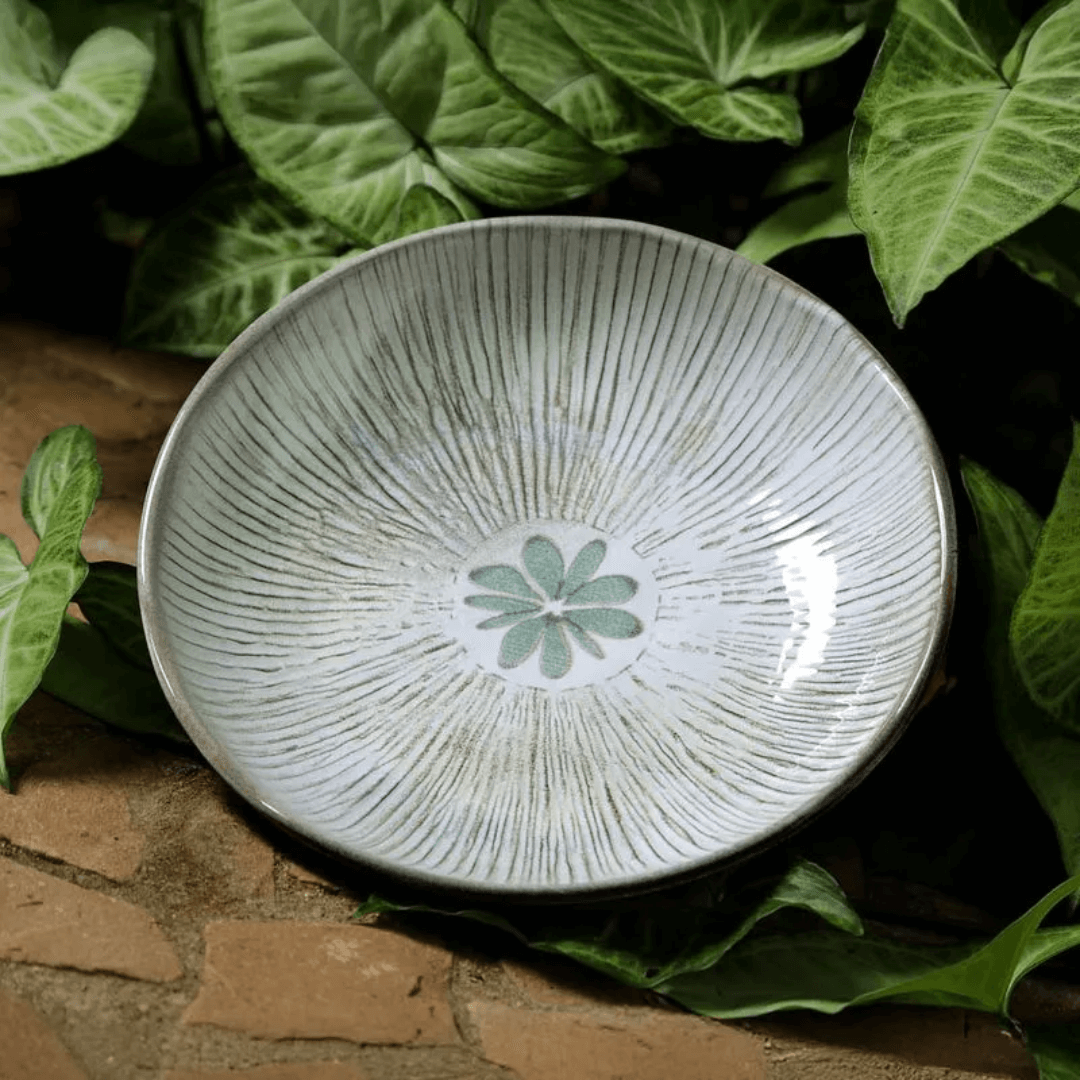 Prato Fundo Bio Evergreen 22,5cm